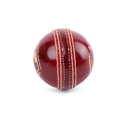 SG Tournament™ Cricket Leather Ball