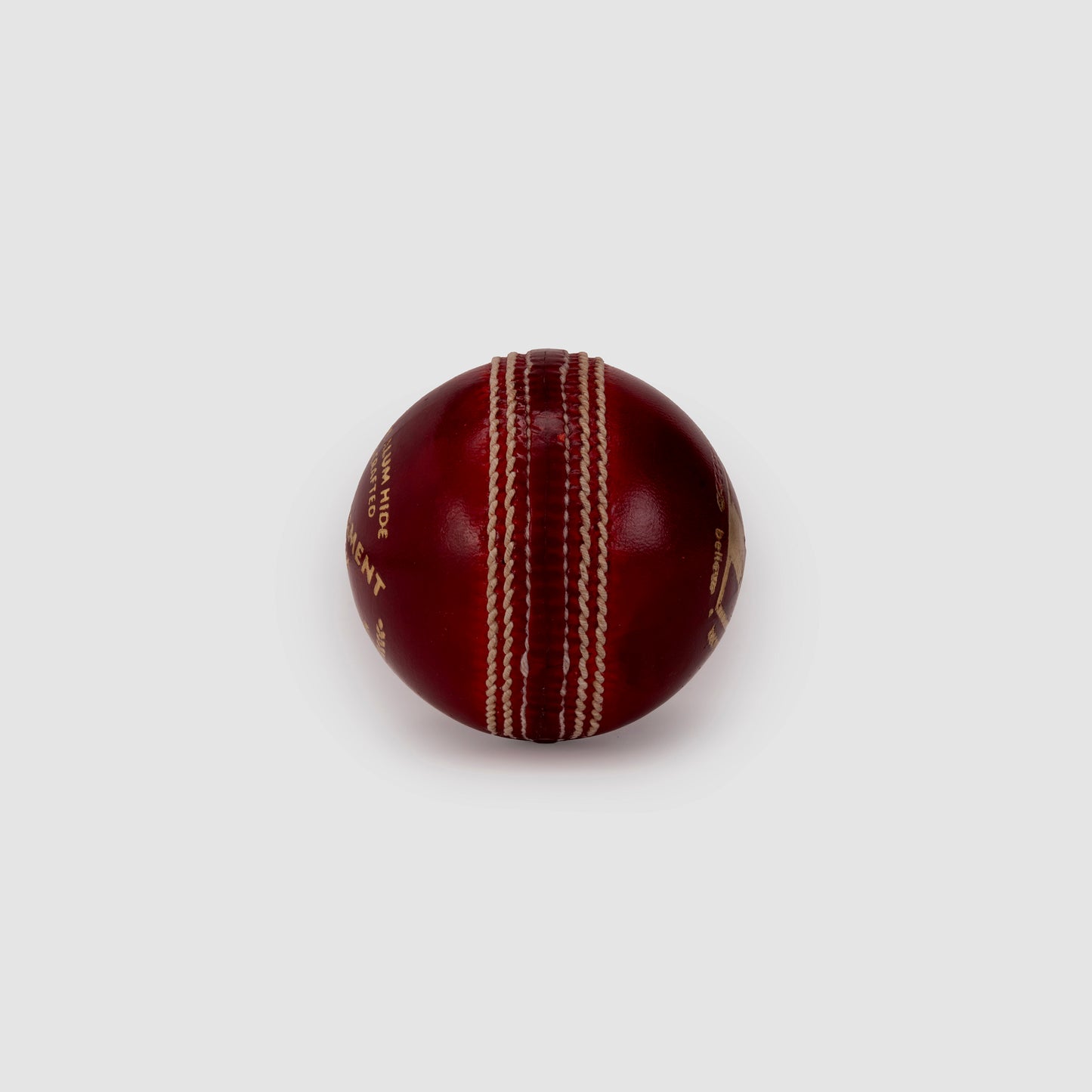 SG Tournament™ Special Cricket Leather Ball