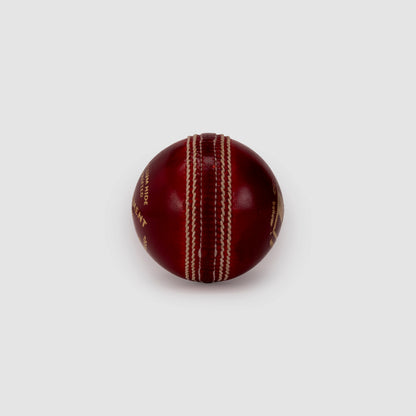 SG Tournament™ Special Cricket Leather Ball