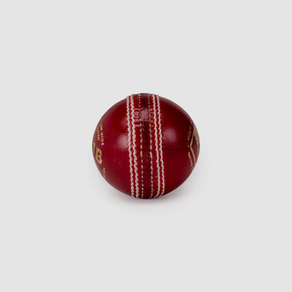 SG Club Red Cricket Leather Ball (Pack of 2)