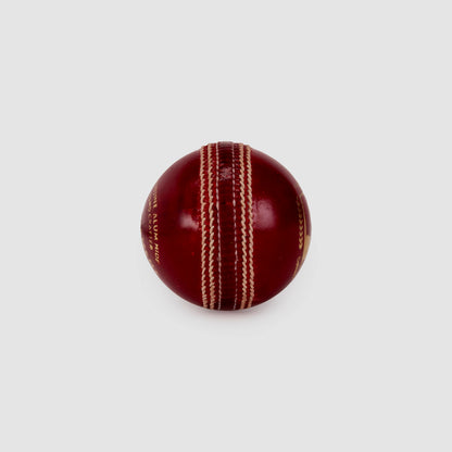SG Tournament™ Cricket Leather Ball