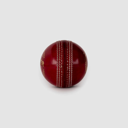 SG Seamer Cricket Leather Ball