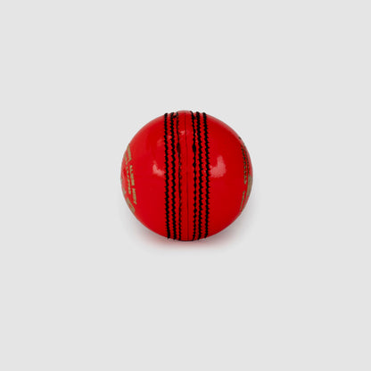 SG Club™ Pink Cricket Leather Ball (SG Pink Ball)