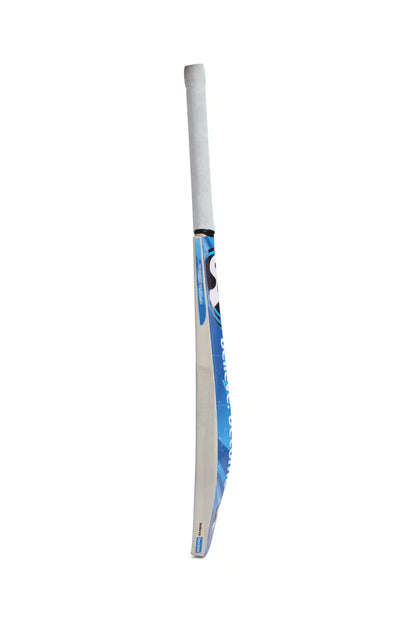 SG HP Blaze English Willow Cricket bat
