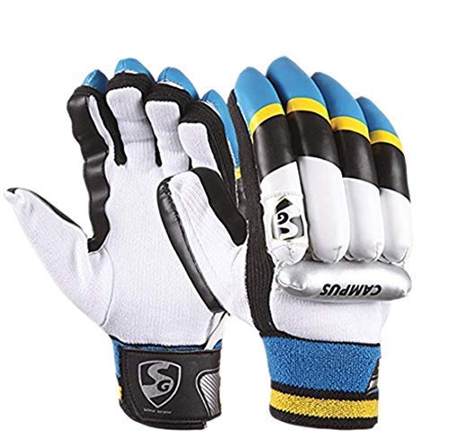 SG Kashmir Willow Economy Kit