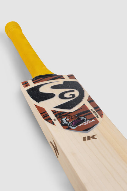 SG Ishan Kishan English Willow Bat