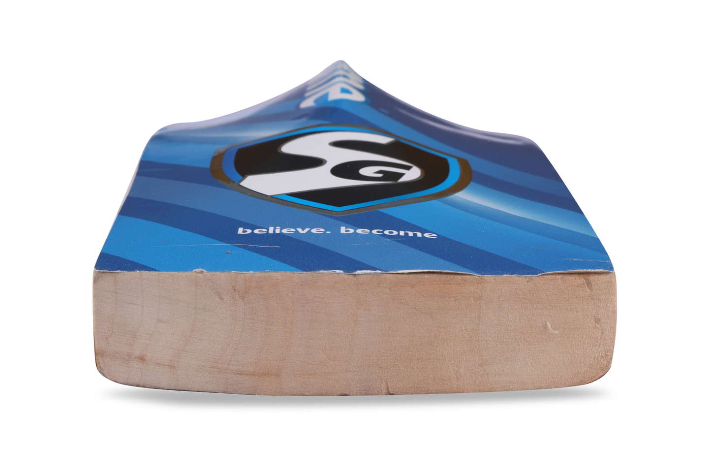 SG HP Flicker Kashmir Willow Cricket Bat