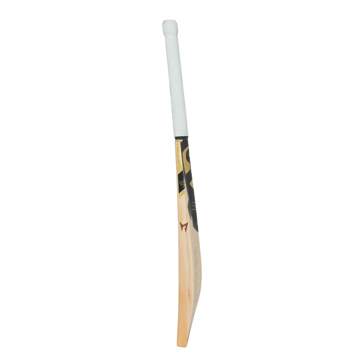 SG HP T-20 English Willow Cricket bat