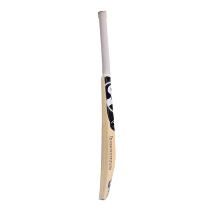 SG Scorer Classic Kashmir Willow Cricket Bat