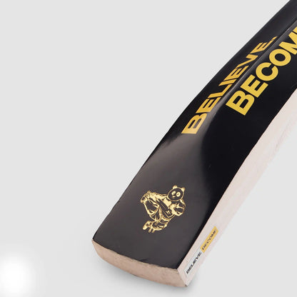 SG HP Plus Kashmir Willow Cricket Bat
