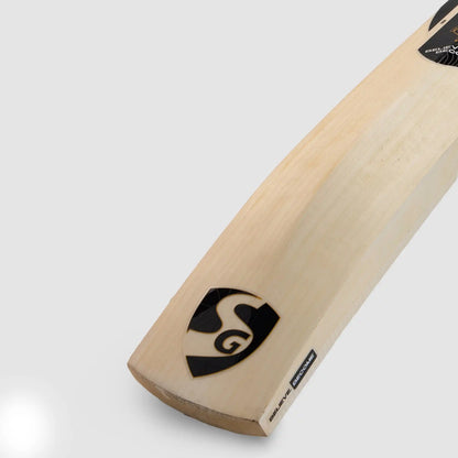 SG HP Pro Kashmir Willow Cricket Bat