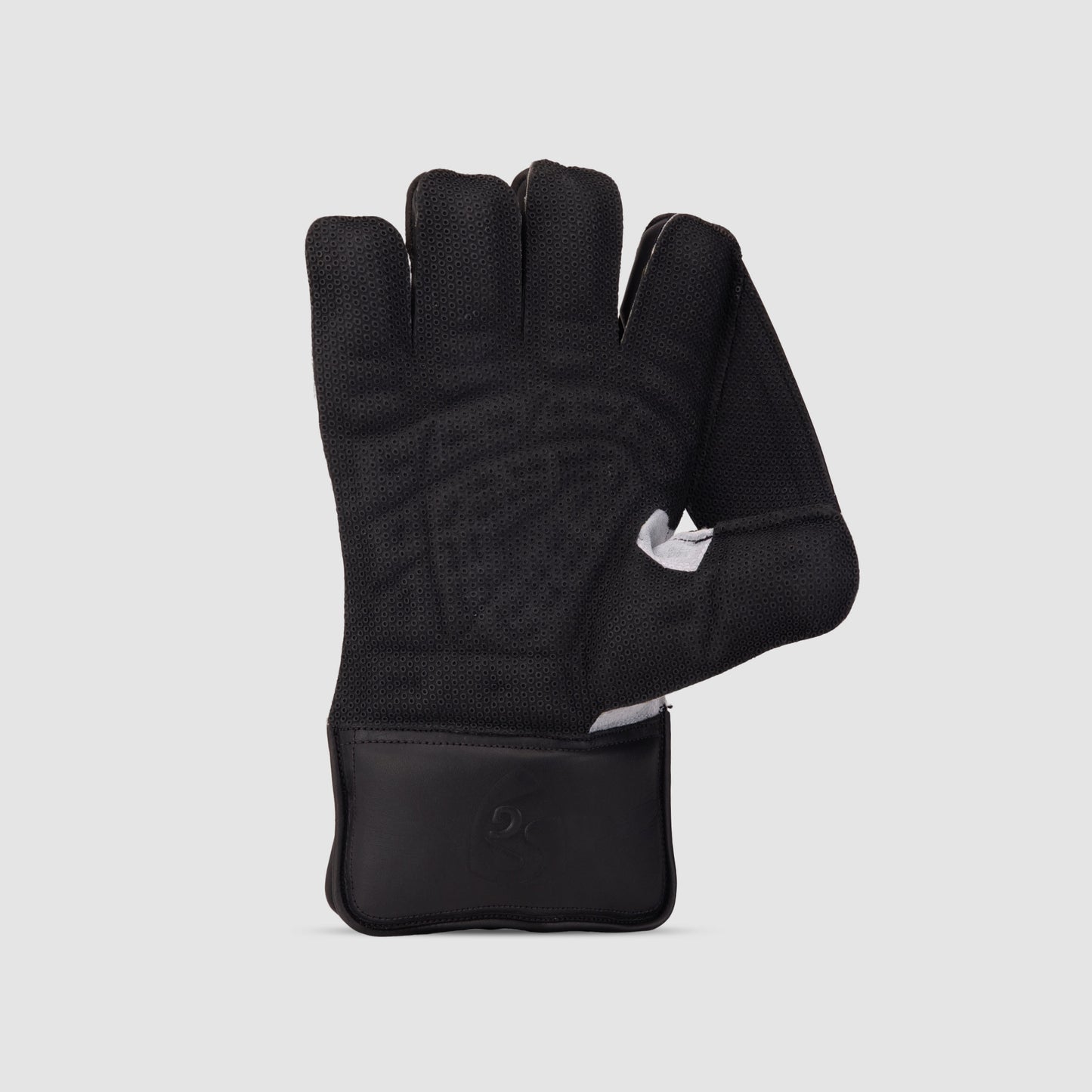 SG Test Wicket Keeping Gloves