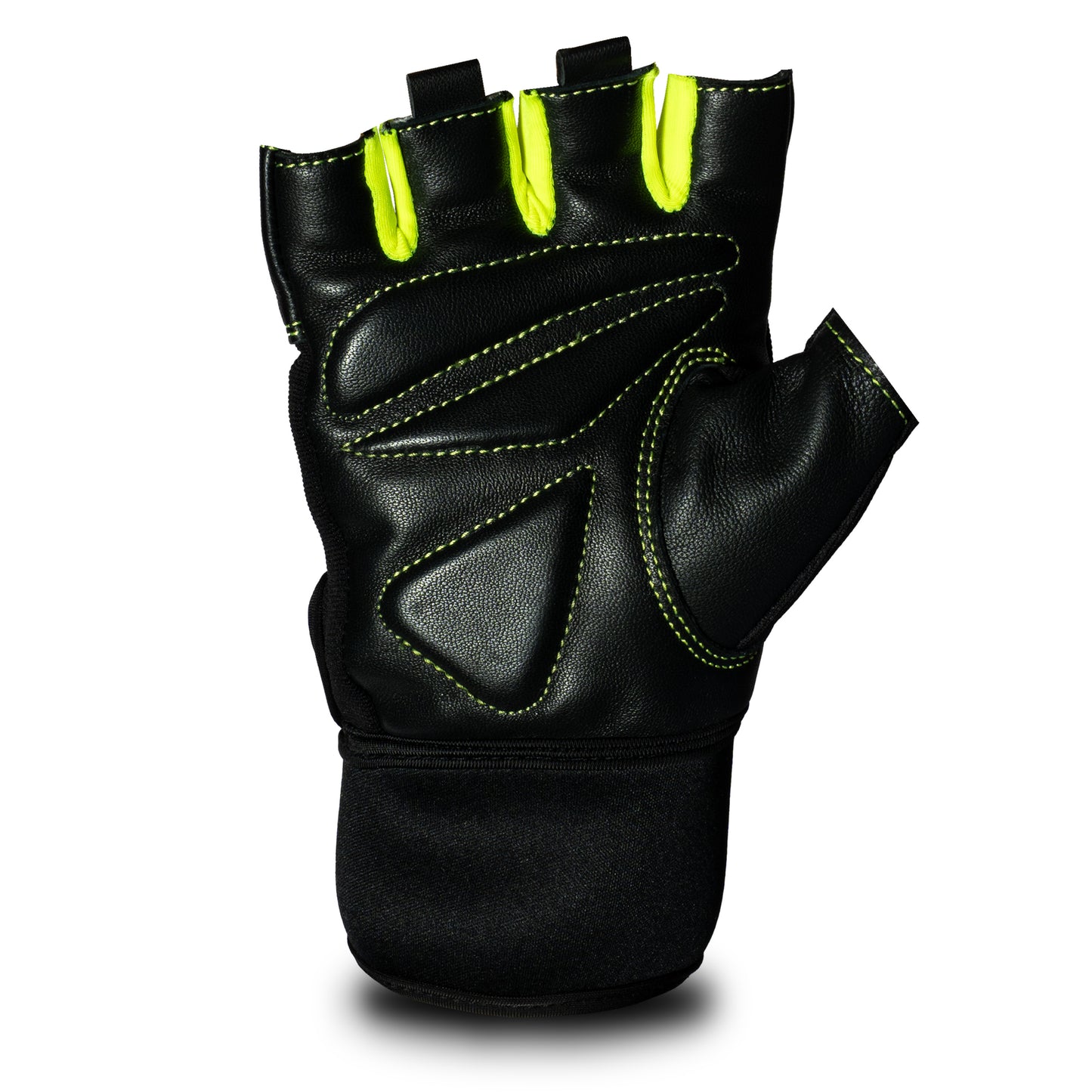 SG Shield Gloves(Gym)