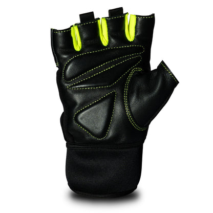SG Shield Gloves(Gym)
