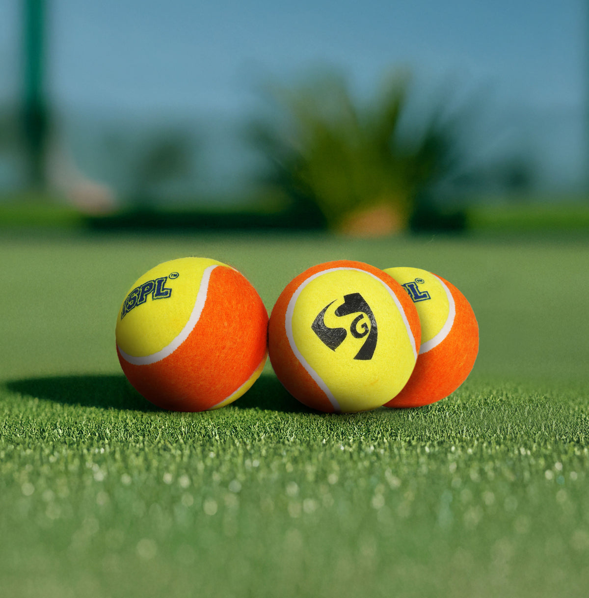 SG X ISPL Tennis Cricket Ball – TeamSG