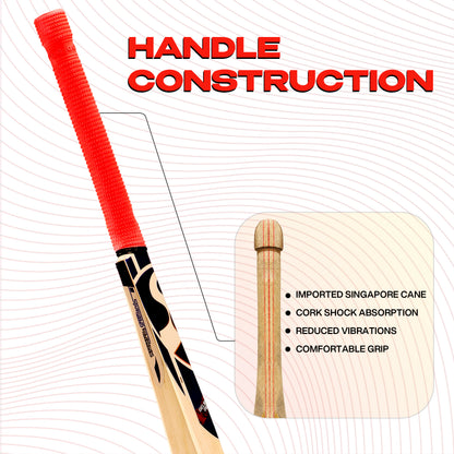 SG Nexus Plus Kashmir Willow Cricket Bat