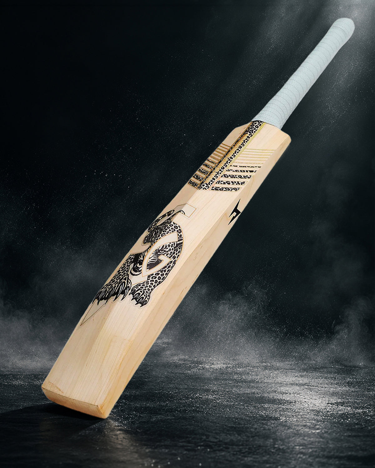 SG HP33 10 Years X English Willow Bat