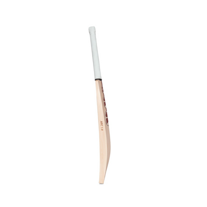 SG Arc 1.0 English Willow Cricket Bat