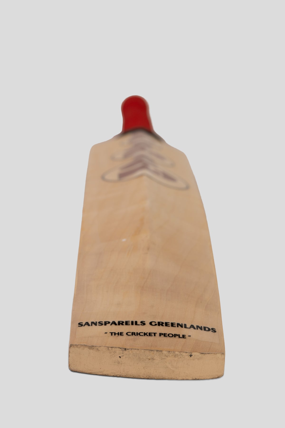 SG Arc Pro Kashmir Willow Cricket Bat