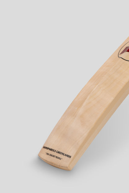 SG Arc Pro Kashmir Willow Cricket Bat
