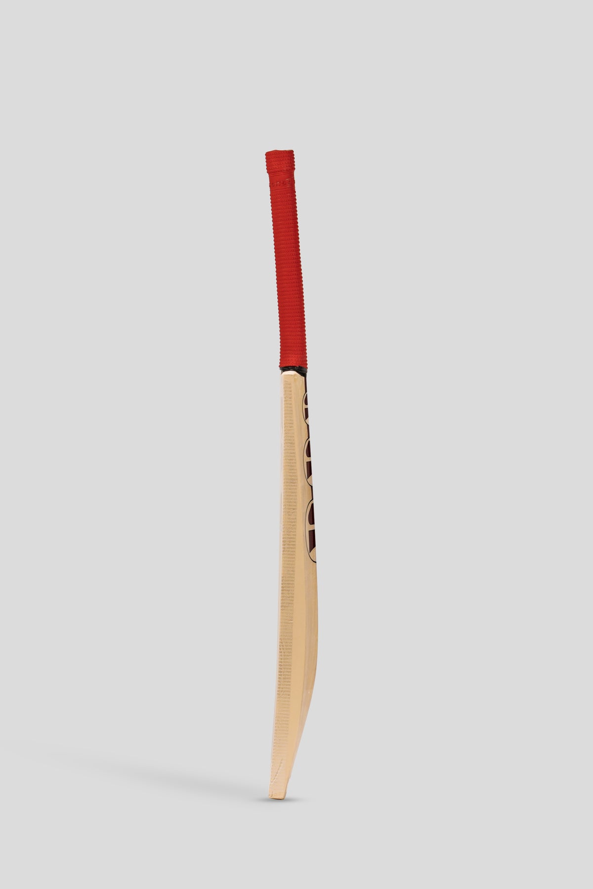 SG Arc Pro Kashmir Willow Cricket Bat
