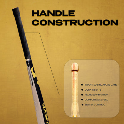 SG HP Plus Kashmir Willow Cricket Bat