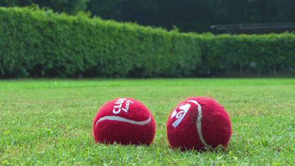 SG CLUB Heavy Cricket Balls (PACK OF 6)