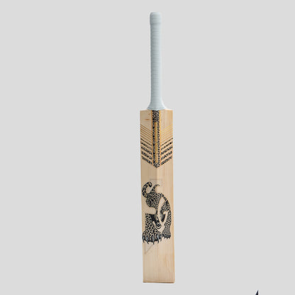 SG HP33 10 Years X English Willow Cricket Bat
