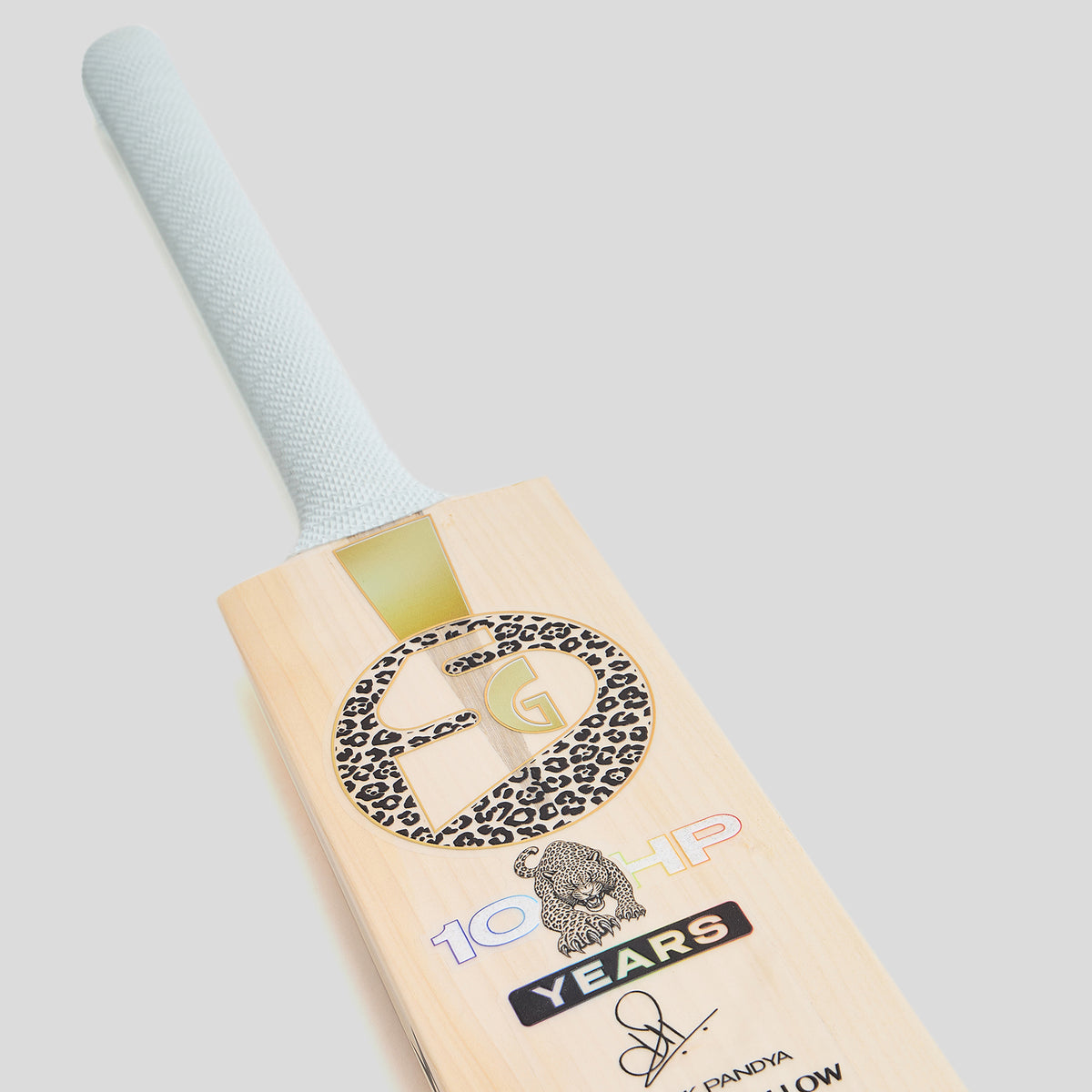 SG HP33 10 Years X English Willow Cricket Bat