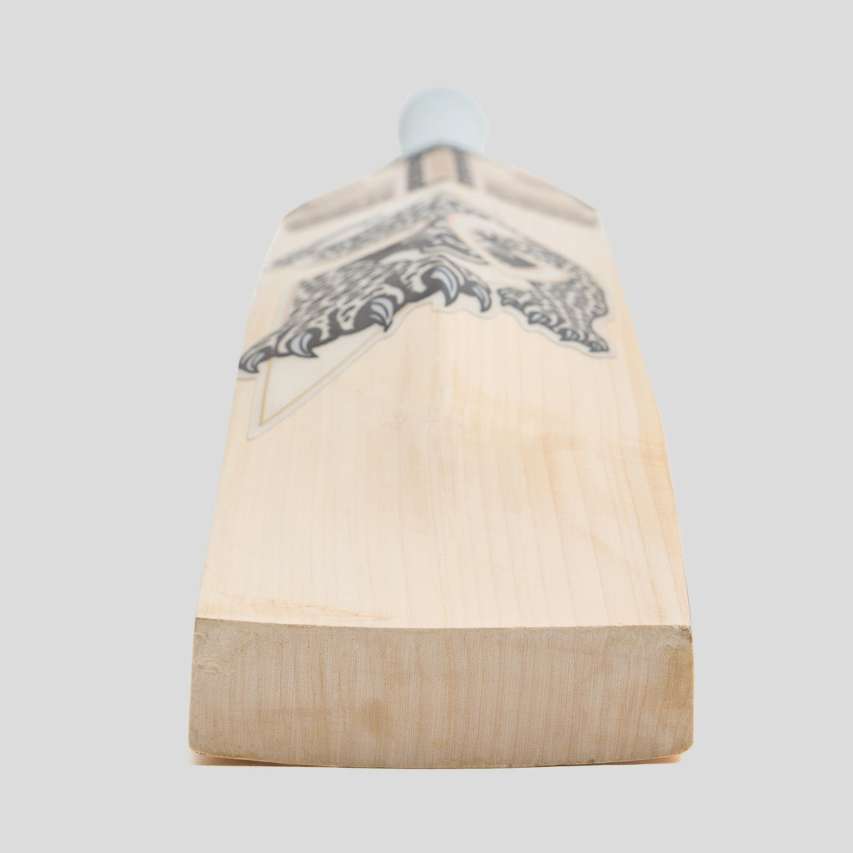 SG HP33 10 Years X English Willow Cricket Bat