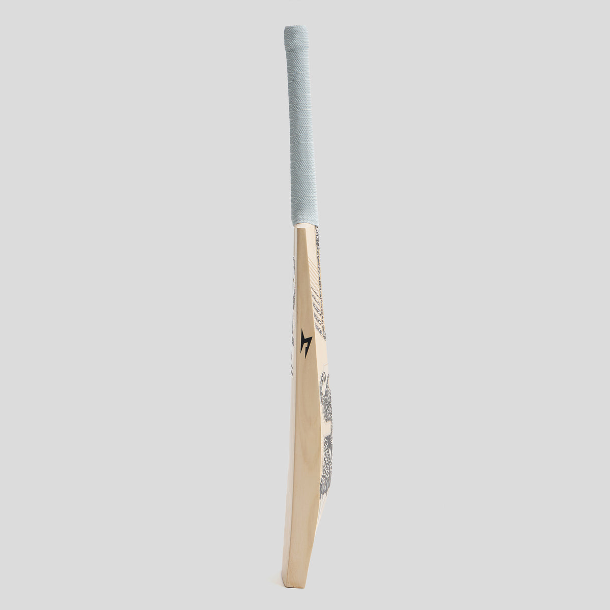 SG HP33 10 Years X English Willow Cricket Bat
