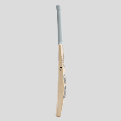 SG HP33 10 Years X English Willow Cricket Bat