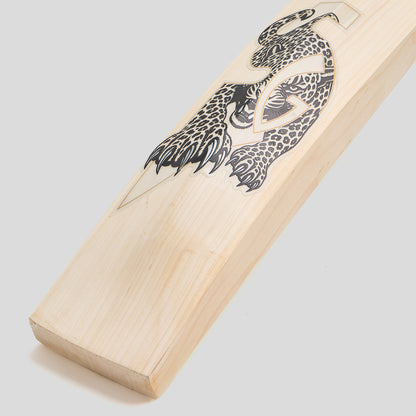 SG HP33 10 Years X English Willow Cricket Bat
