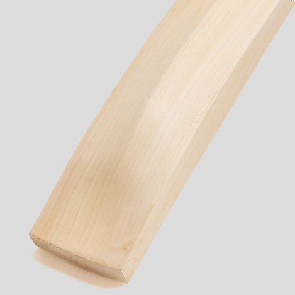 SG HP33 Privee Replica English Willow Cricket Bat