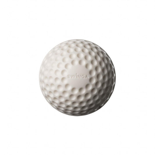 SG Swinga Cricket ball (White)