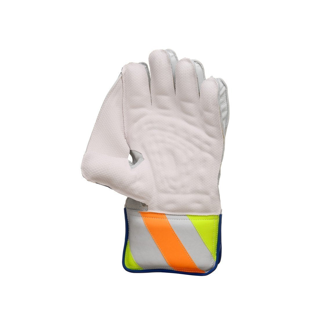 SG R 17 Wicket Keeping Gloves (Multi-Color) W.K. Gloves