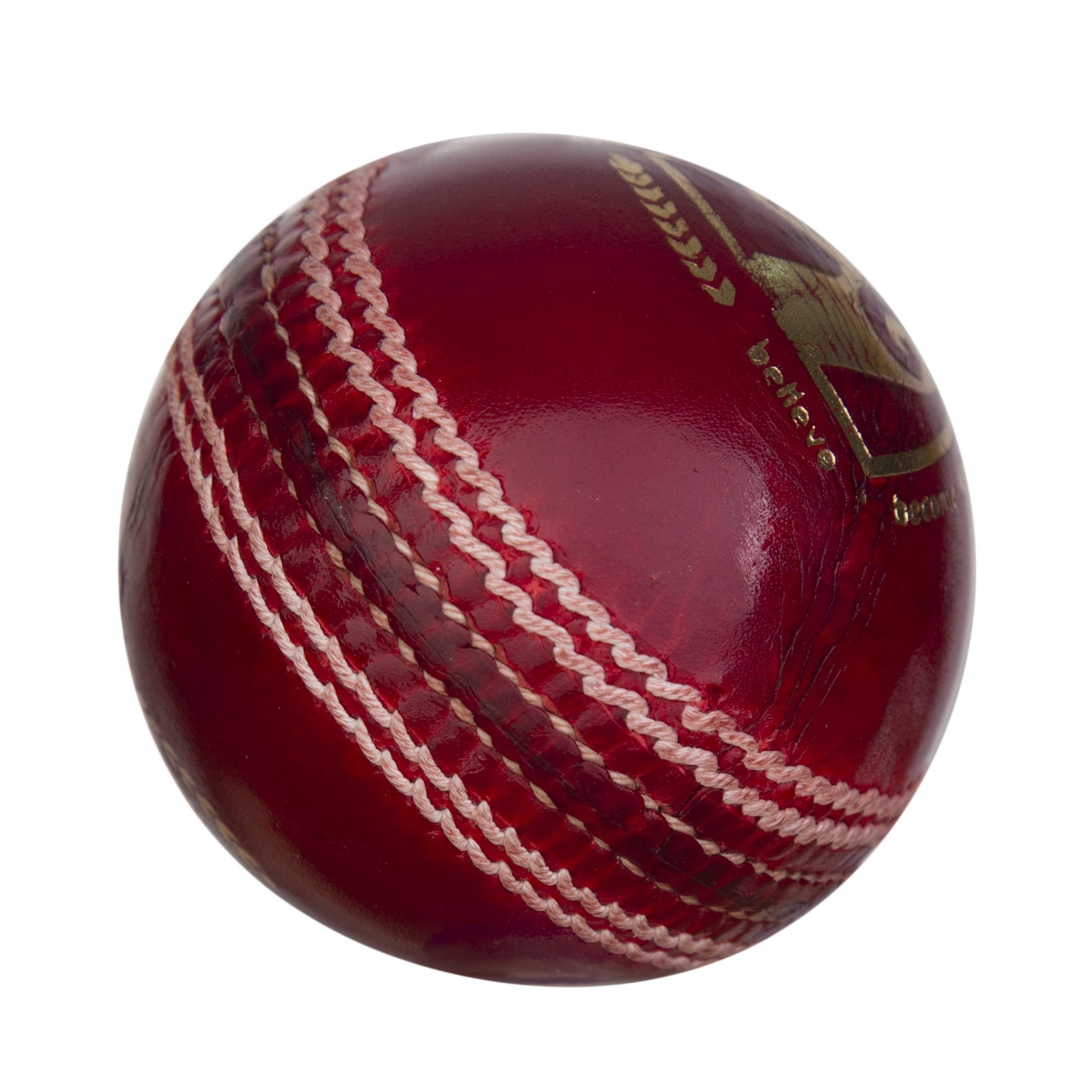 SG Bouncer Good Quality Four Piece Water Proof Cricket Leather