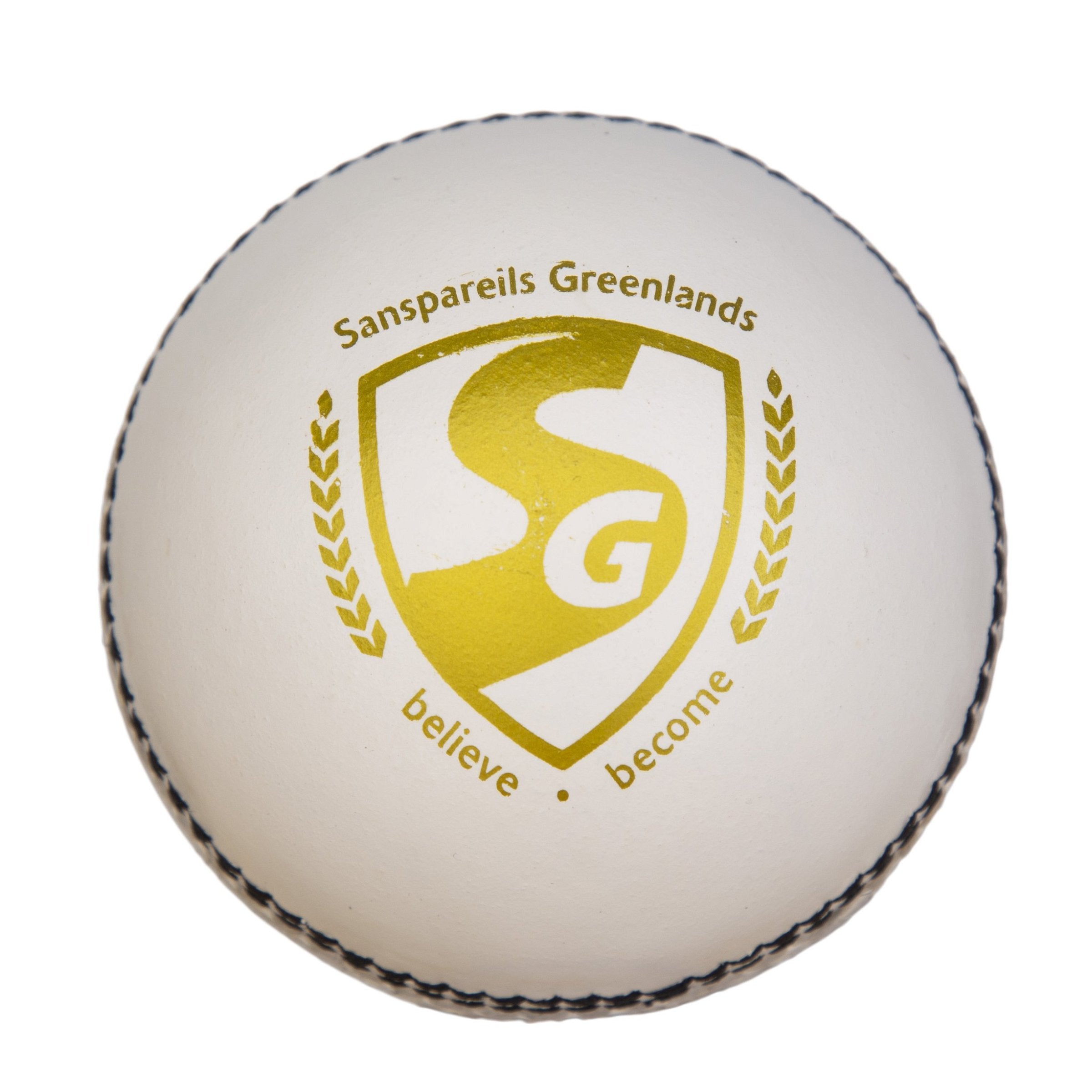 Cricket Ball Logo